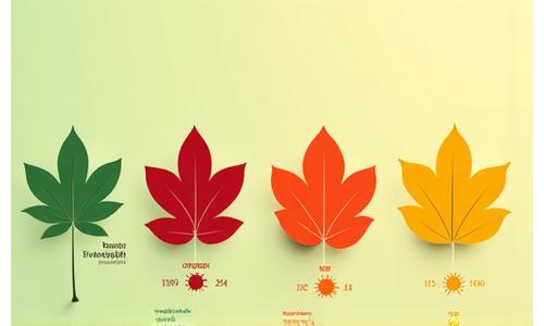 Diagram illustrating chlorophyll breakdown in an autumn leaf changing color